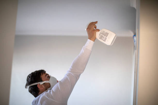 Best Mold Damage Repair  in Antlers, OK