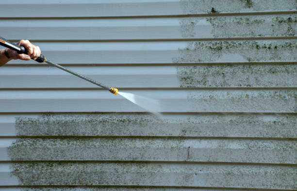 Best Toxic Mold Removal  in Antlers, OK