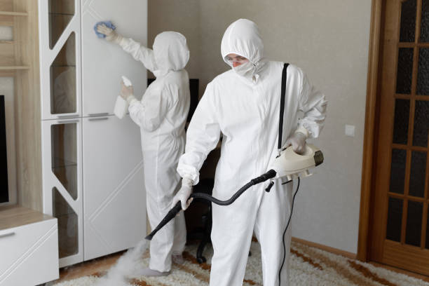 Mold Removal Process in Antlers, OK