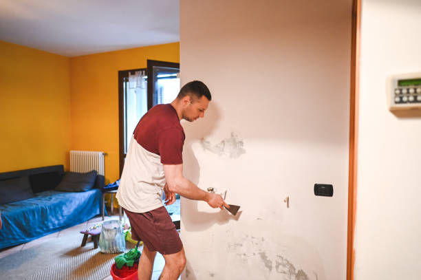 Best Mold Removal Process  in Antlers, OK