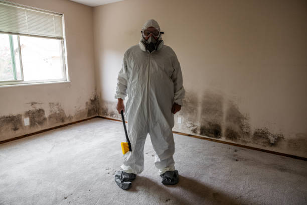 Best Mold Testing  in Antlers, OK
